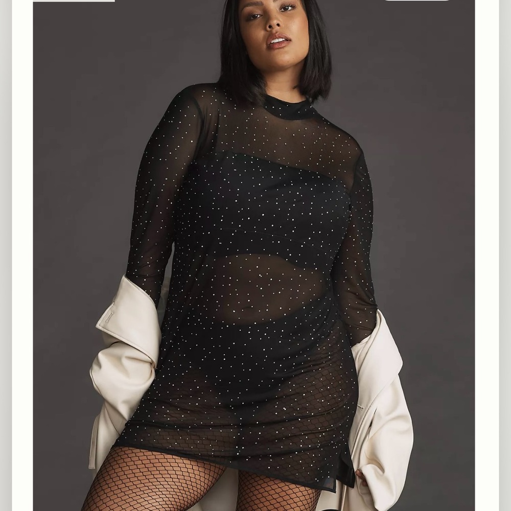 Anthropologie Eva Franco Starlight Long Sleeve Sheer Tunic